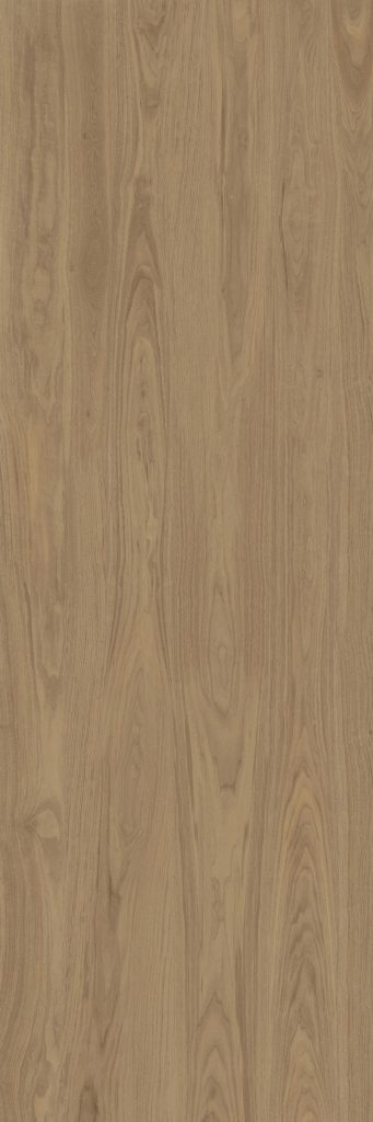 Europe walnut
