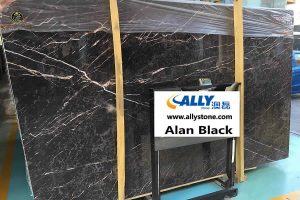 Alan Black
