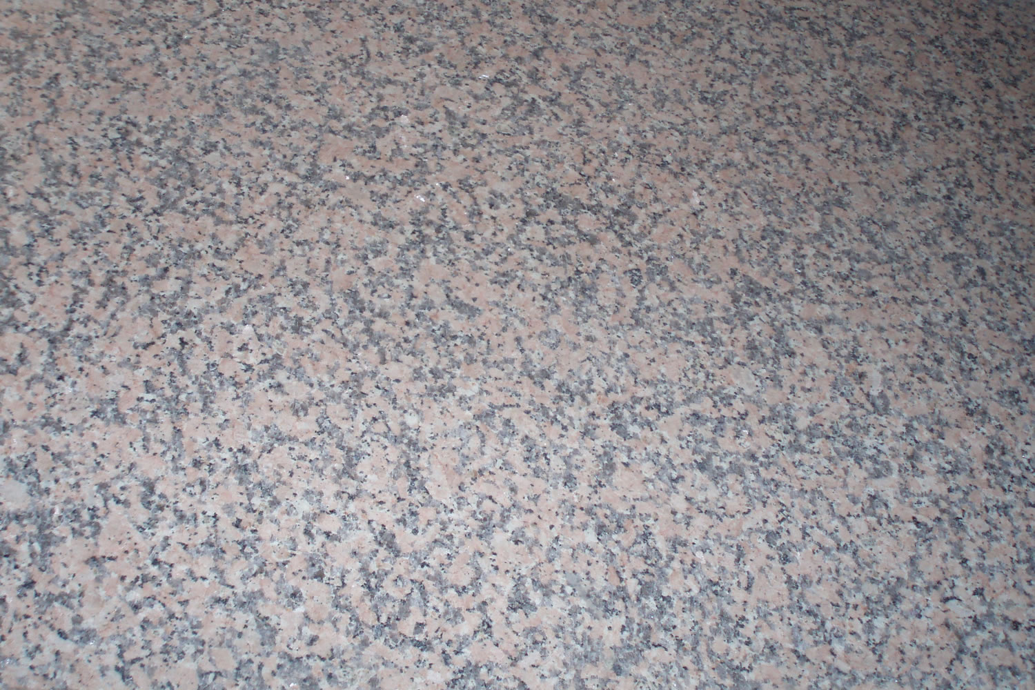 Rosy Porrino
