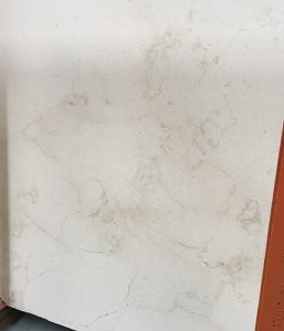 Ivory Beige