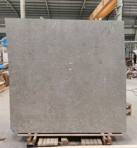 Pacific Grey