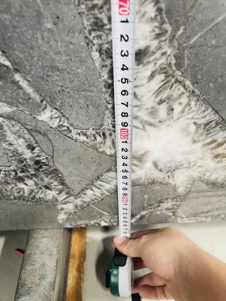 Patagonia Grey