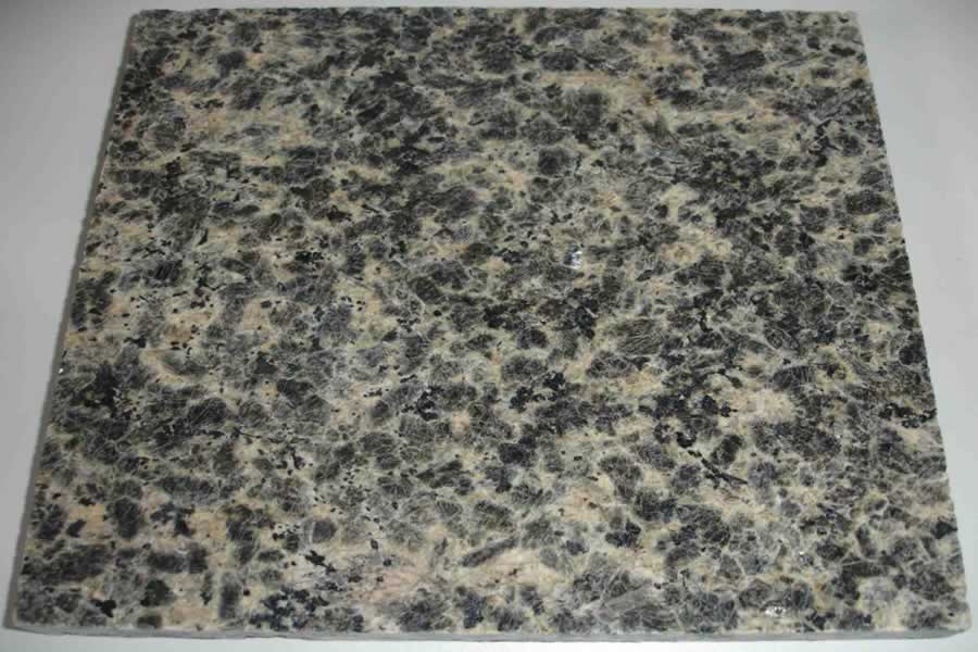 Leopard Skin