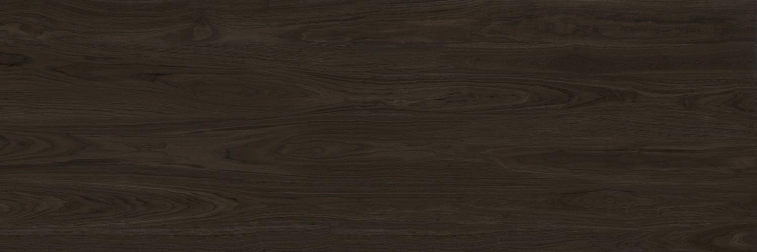 America walnut