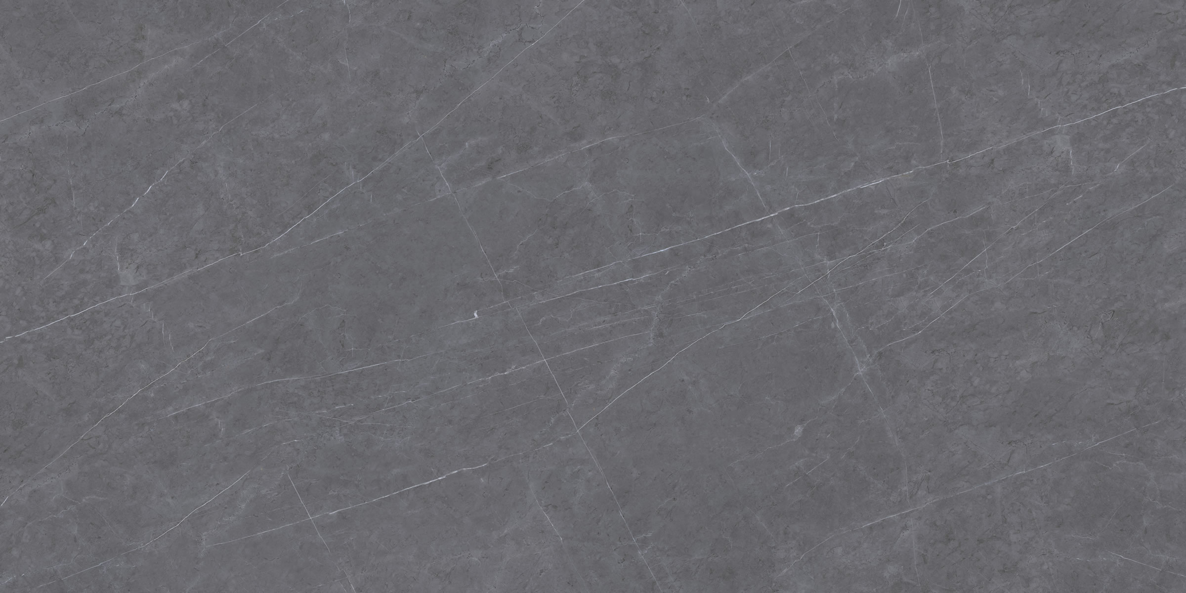 Bulgarian Gray