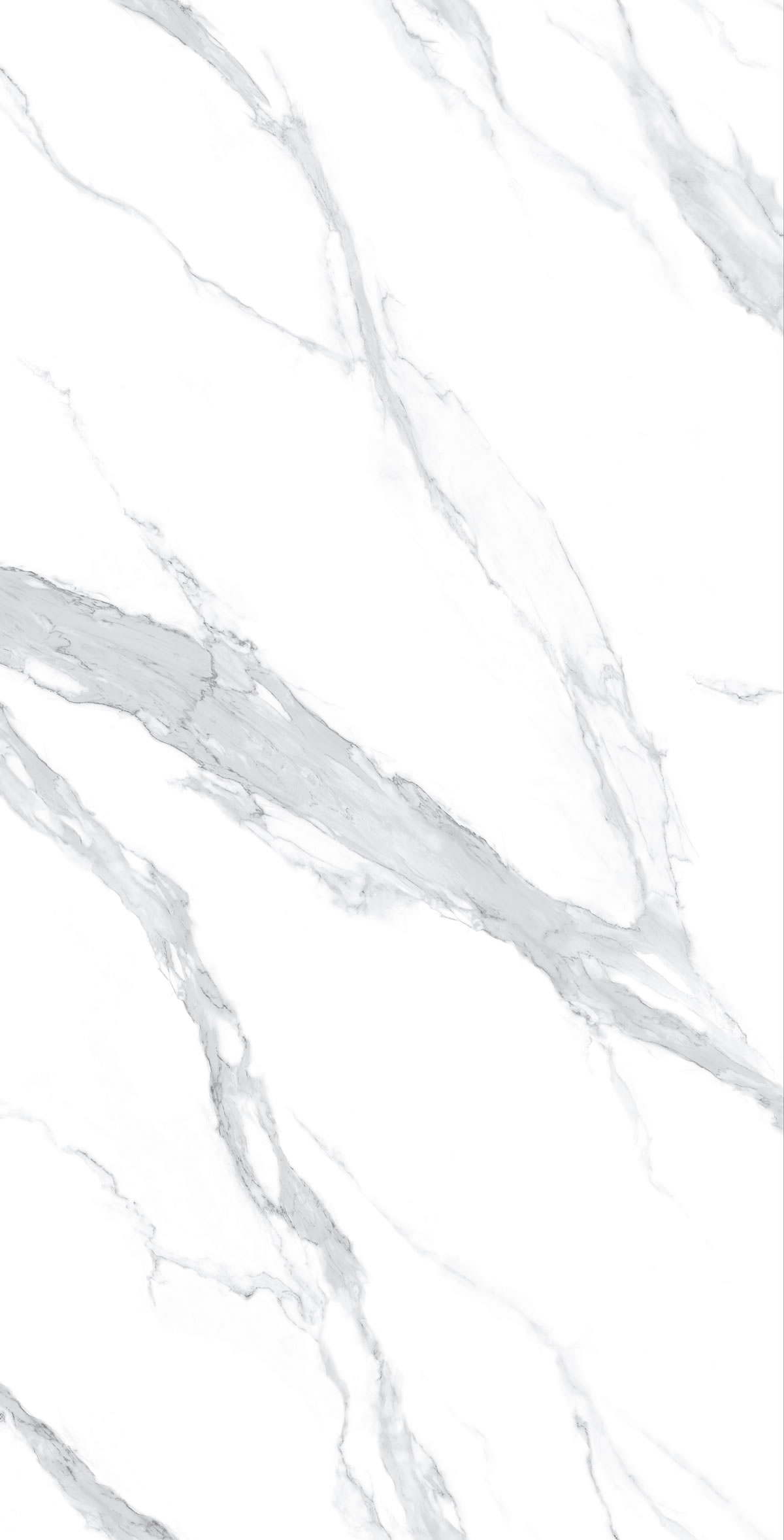 Calacatta White