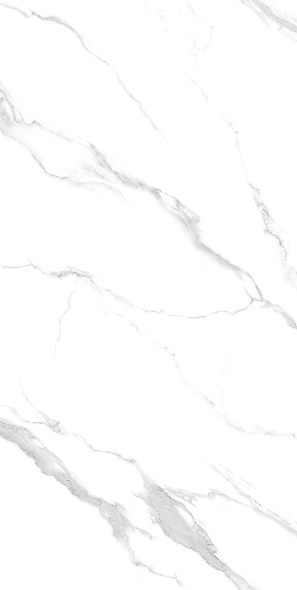 Calacatta White