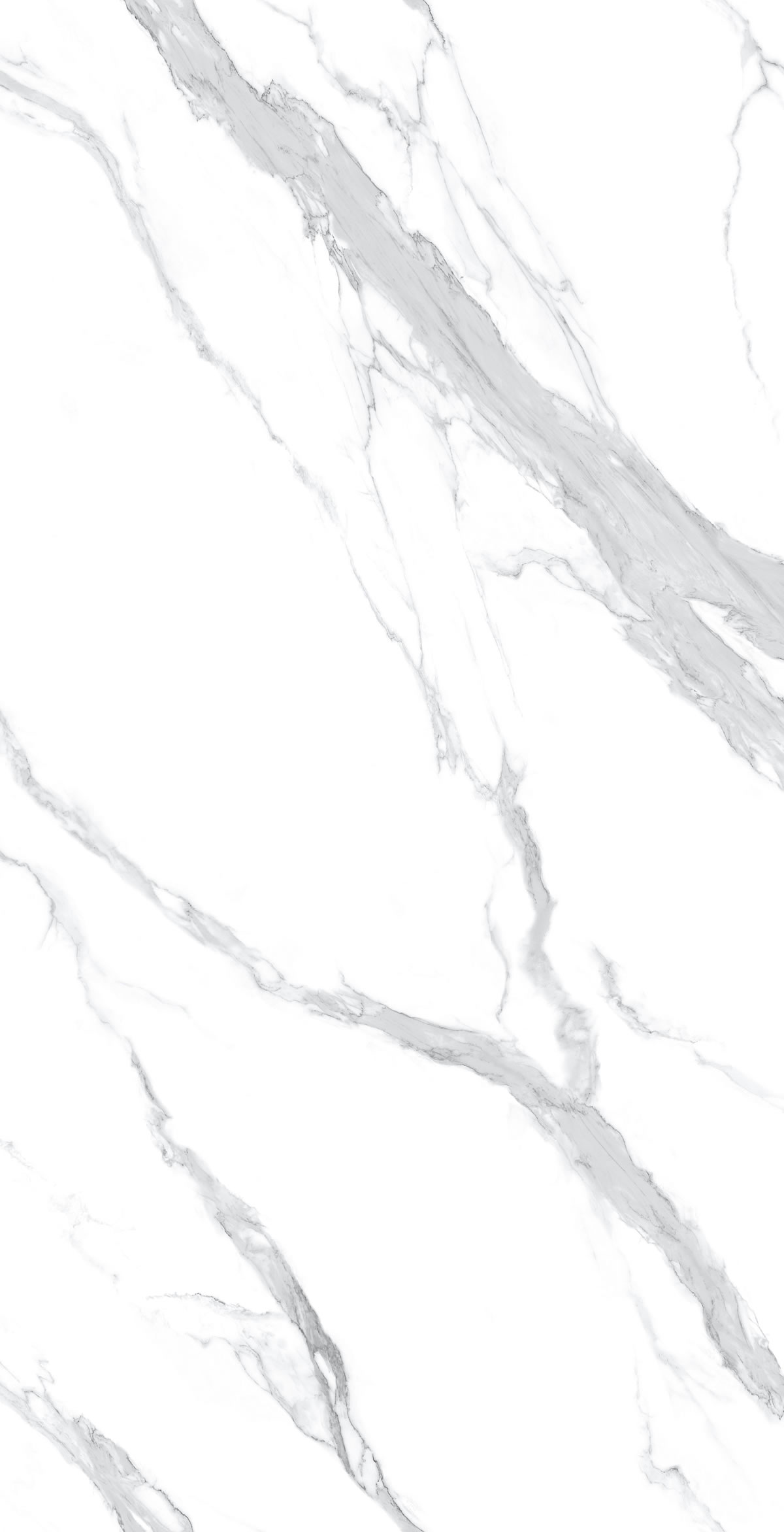 Calacatta White