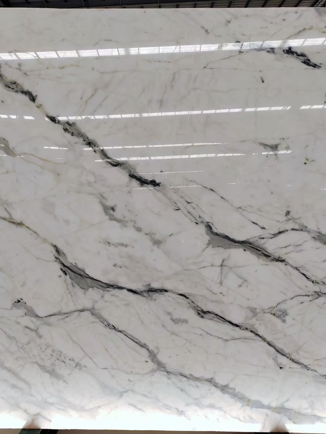 New Calacatta