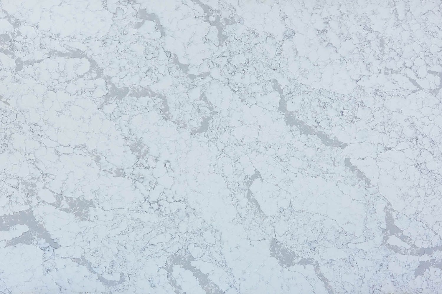 Calacatta Grey