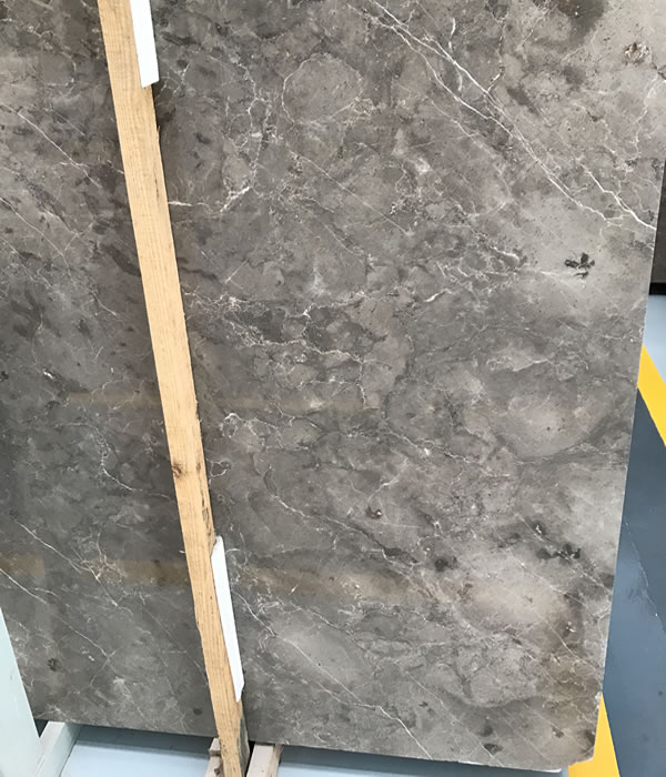 Eurasian Grey